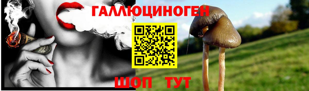 что такое наркотик  Галлюциногенные грибы MAGIC MUSHROOMS  Вход с VPN  Крымск 